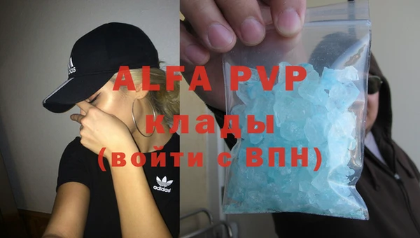 прущие грибы Абаза