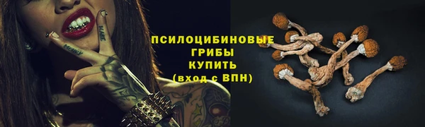 гидра Абдулино