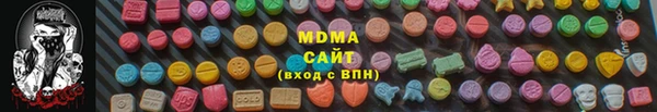 прущие грибы Абаза