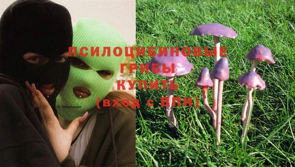 MDMA Алексеевка