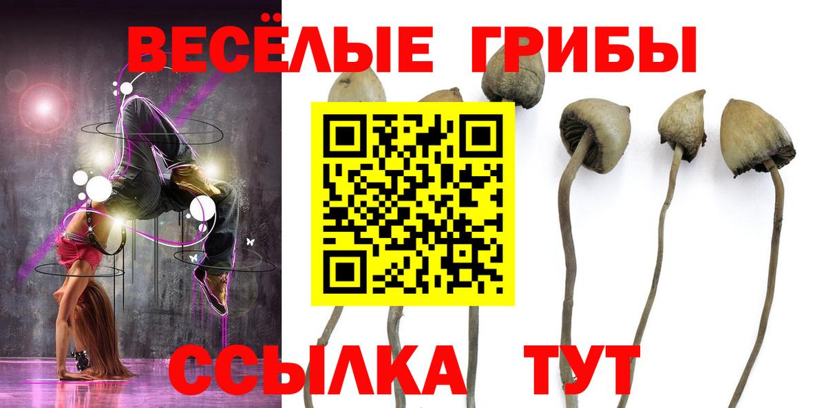 Галлюциногенные грибы прущие грибы Каменск-Уральский